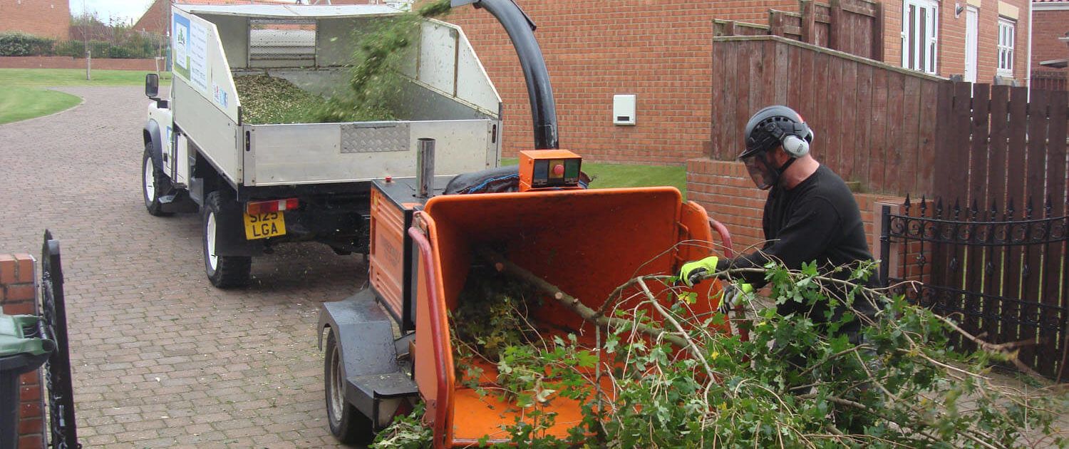 tree lopping Gold Coast